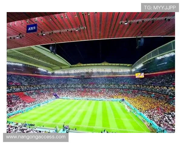 世界杯：探索全球足球盛宴背后的历史、文化与未来发展