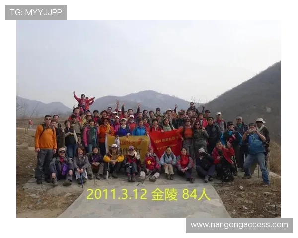 国王队崛起之路：从低谷到西部赛场的辉煌征程