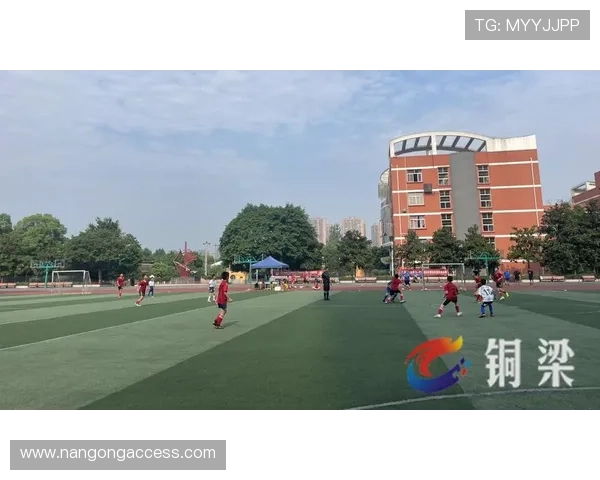 重庆超级联赛发展历程与未来前景分析 结合本土足球文化的创新探索